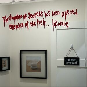 Harry Potter decoration!